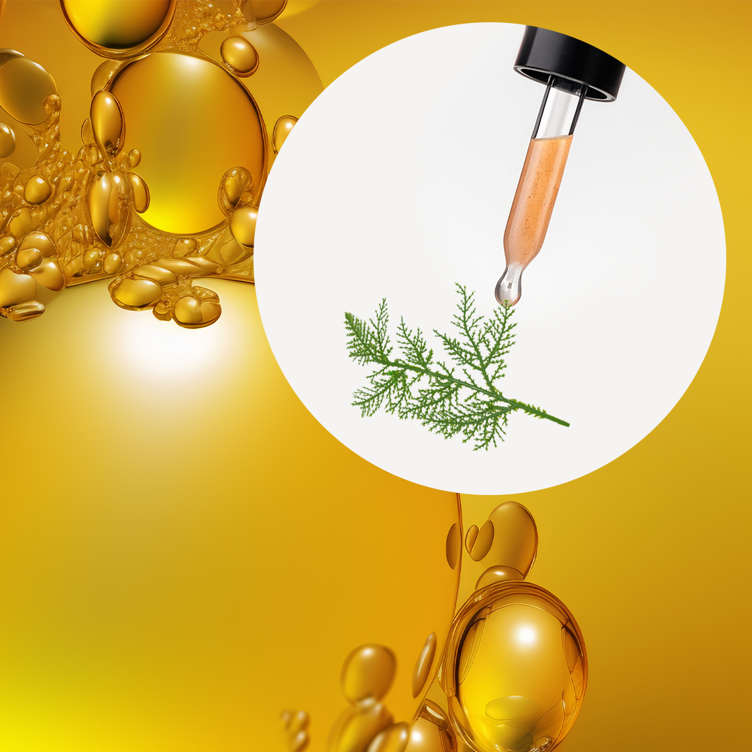 🧴 ACEITE ESENCIAL DE CIPRÉS | FORMULACIÓN LTSH - Image 2