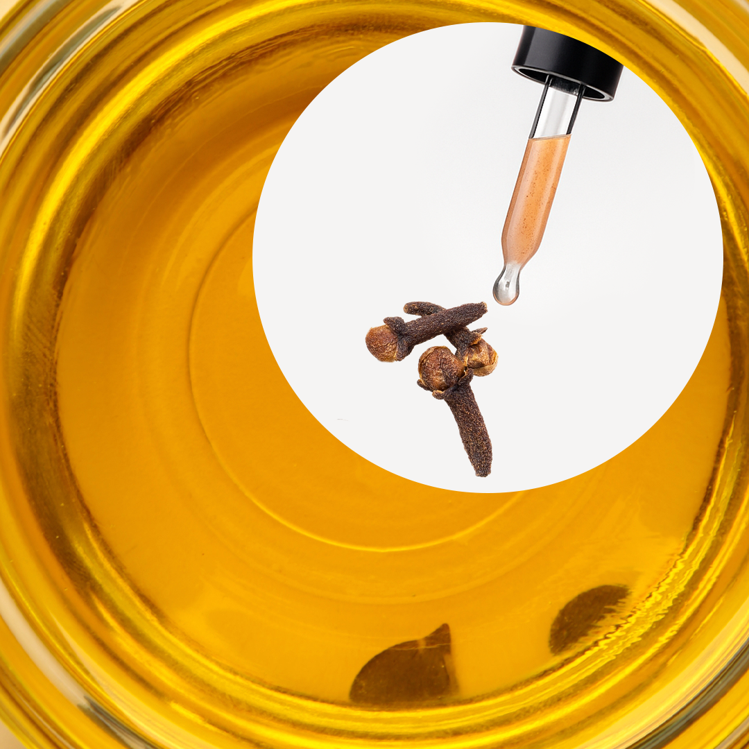 🧴 ACEITE ESENCIAL DE CLAVO | FORMULACIÓN LTSH - Image 2