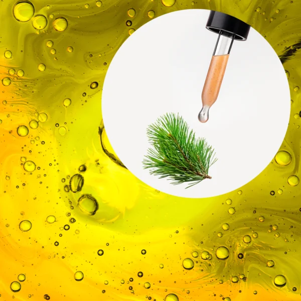 🧴 ACEITE ESENCIAL DE PINO SILVESTRE (PINUS SYLVESTRIS) | FORMULACIÓN LTSH - Image 2