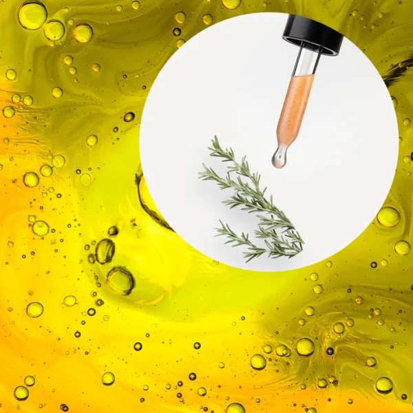 🧴 ACEITE ESENCIAL DE ROMERO OFFICINALIS (ROSMARINUS OFFICINALIS) | FORMULACIÓN LTSH - Image 2