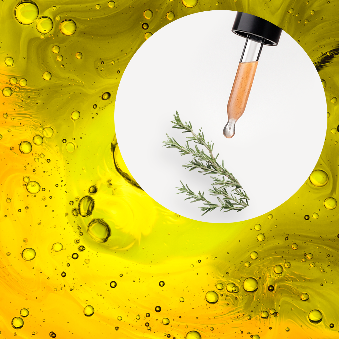 🧴 ACEITE ESENCIAL DE ROMERO OFFICINALIS (ROSMARINUS OFFICINALIS) | FORMULACIÓN LTSH - Image 2