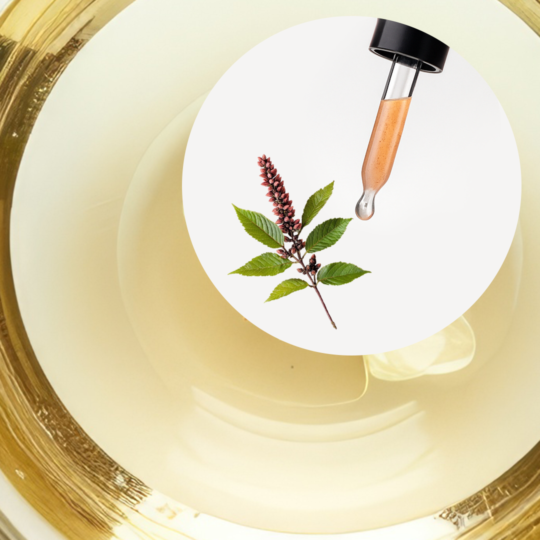 🧴 ACEITE ESENCIAL DE ALCANFOR BLANCO | FORMULACIÓN LTSH - Image 2