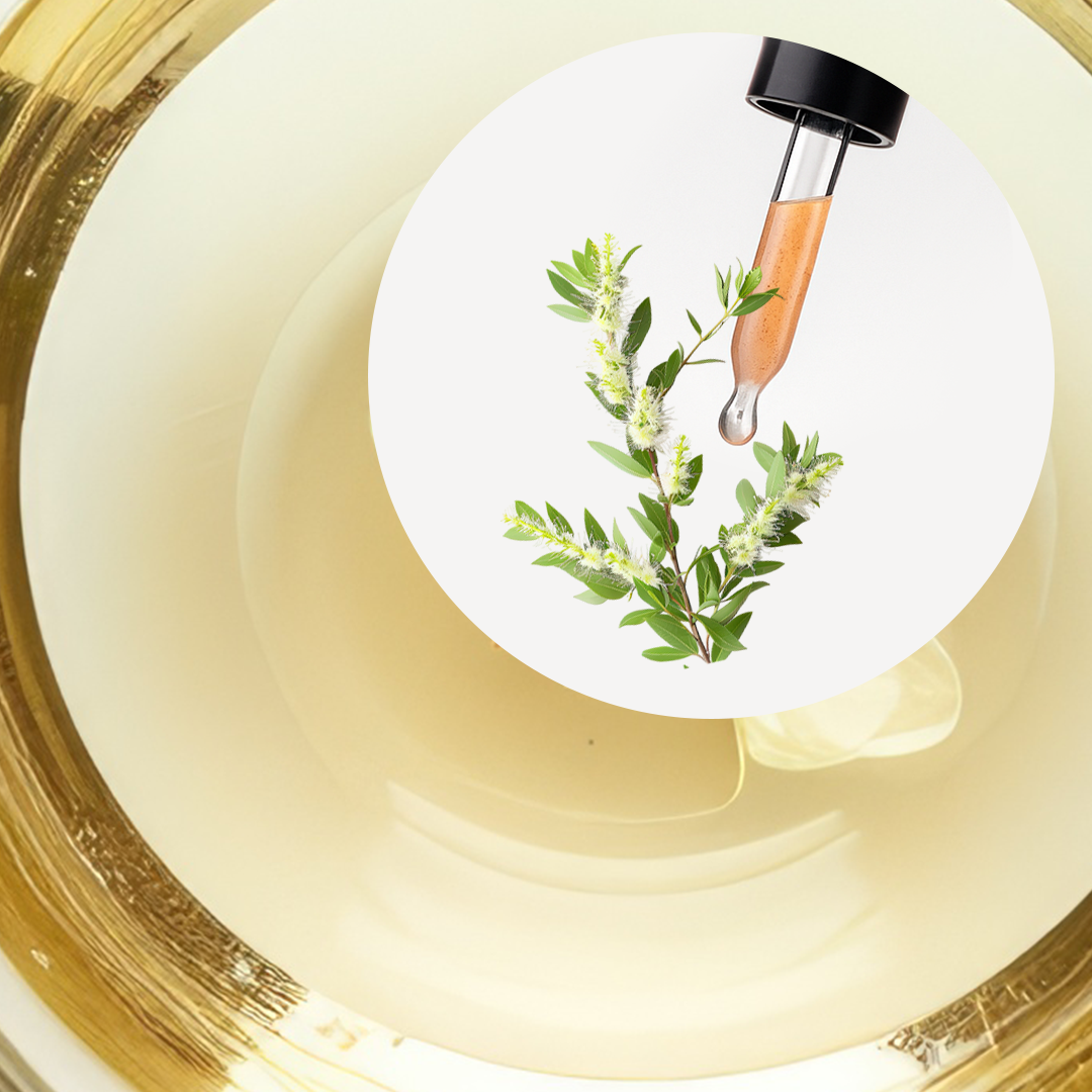 🧴 ACEITE ESENCIAL DE ÁRBOL DE TÉ | FORMULACIÓN LTSH - Image 2