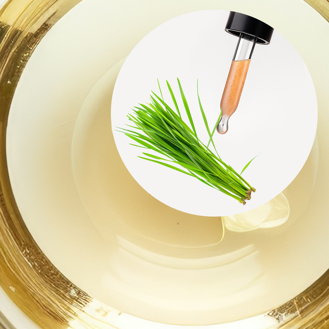 🧴 ACEITE ESENCIAL DE CITRONELA JAVA | FORMULACIÓN LTSH - Image 2