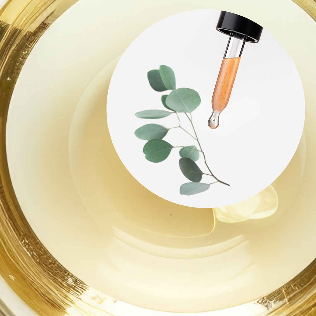 🧴 ACEITE ESENCIAL DE EUCALIPTO GLOBULUS | FORMULACIÓN LTSH - Image 2