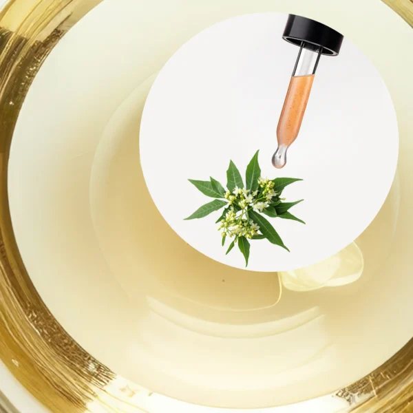 🧴 ACEITE ESENCIAL DE LITSEA CUBEBA (MAY CHANG) | FORMULACIÓN LTSH - Image 2