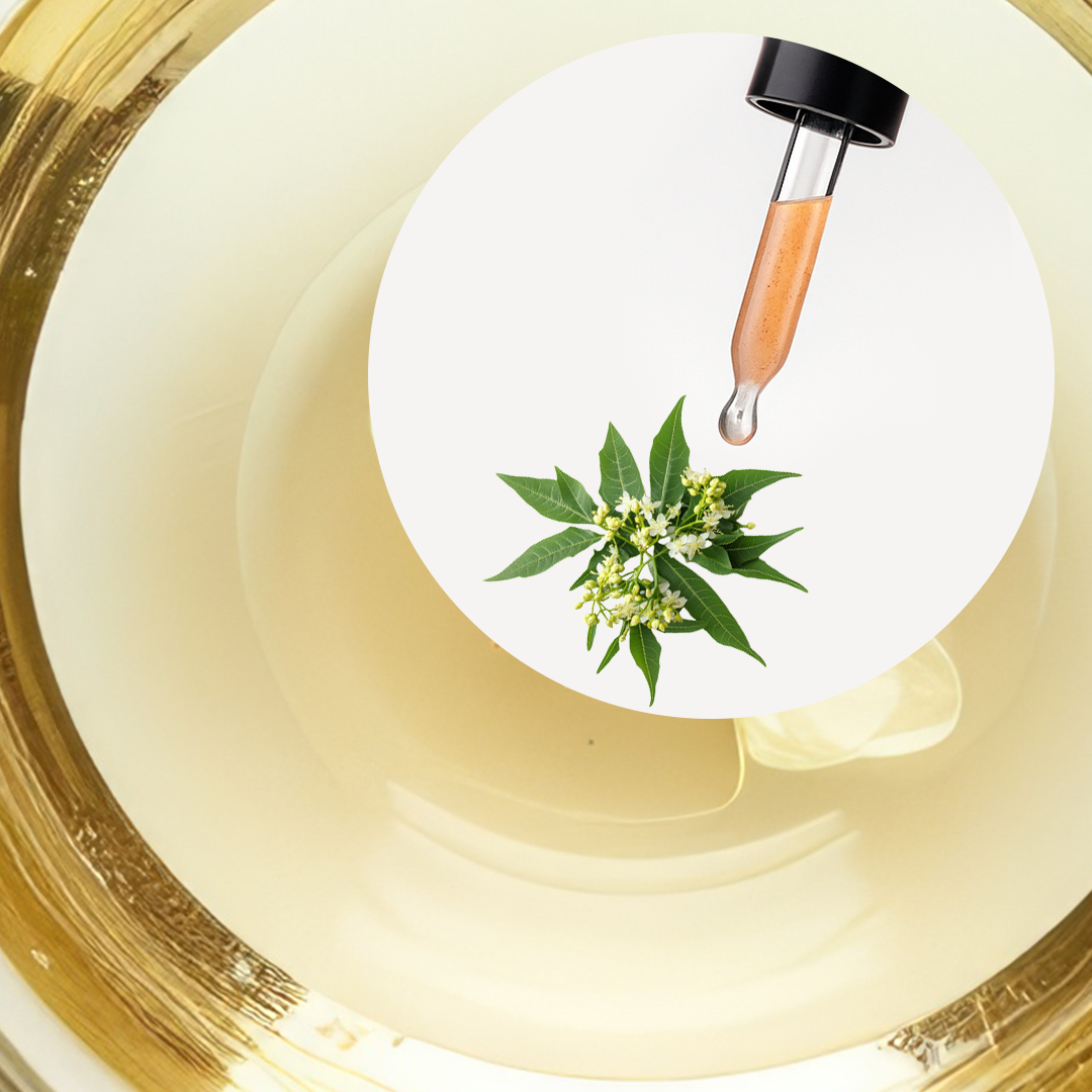 🧴 ACEITE ESENCIAL DE LITSEA CUBEBA (MAY CHANG) | FORMULACIÓN LTSH - Image 2