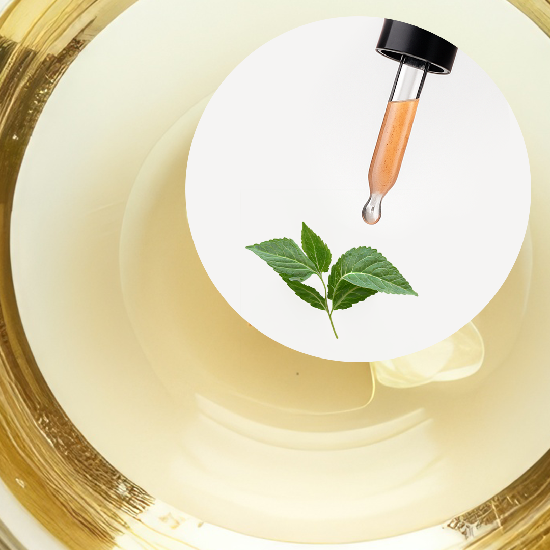 🧴 ACEITE ESENCIAL DE HIERBABUENA (MENTHA SPICATA) | FORMULACIÓN LTSH - Image 2