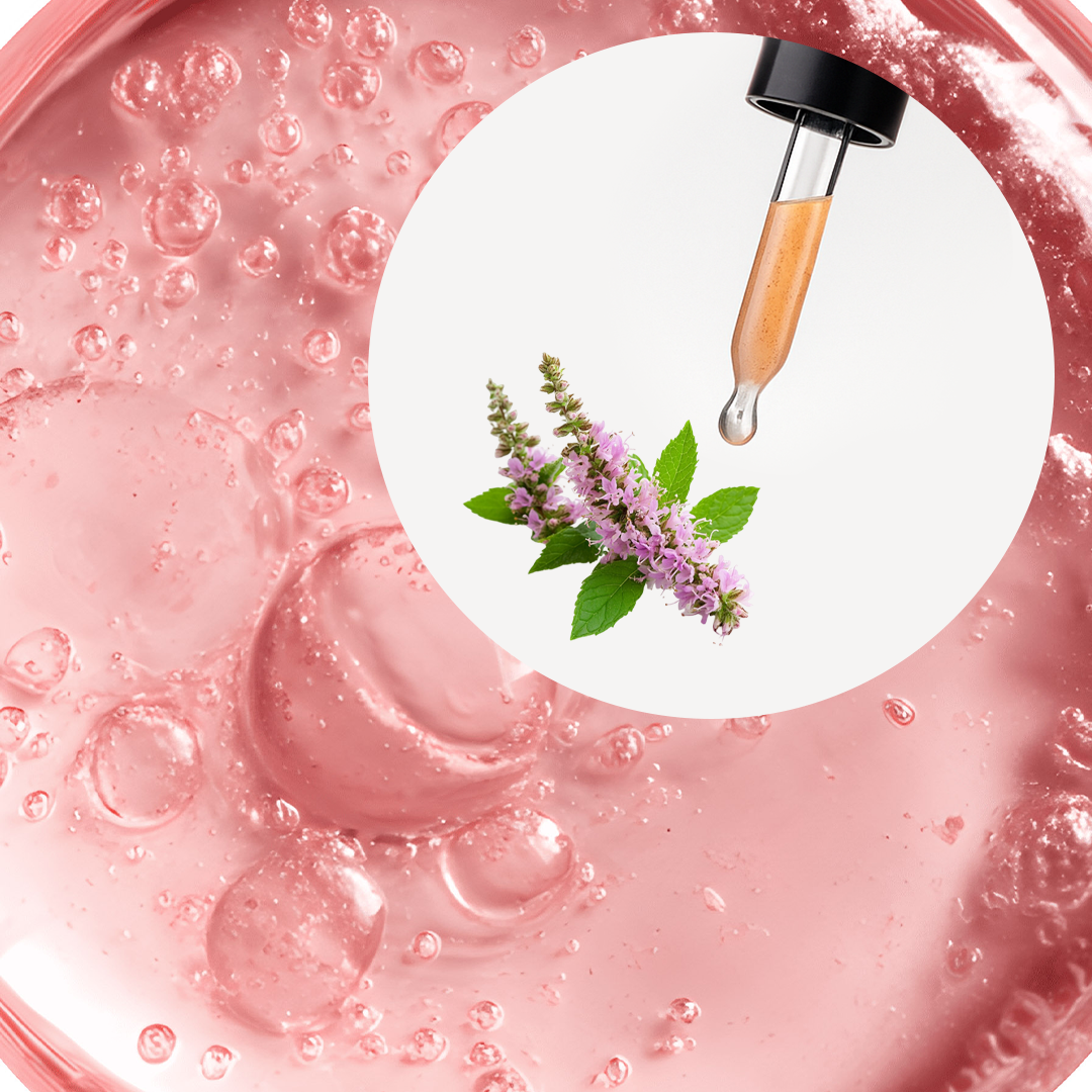 🧴 ACEITE ESENCIAL DE PACHULÍ (POGOSTEMON CABLIN) | FORMULACIÓN LTSH - Image 2