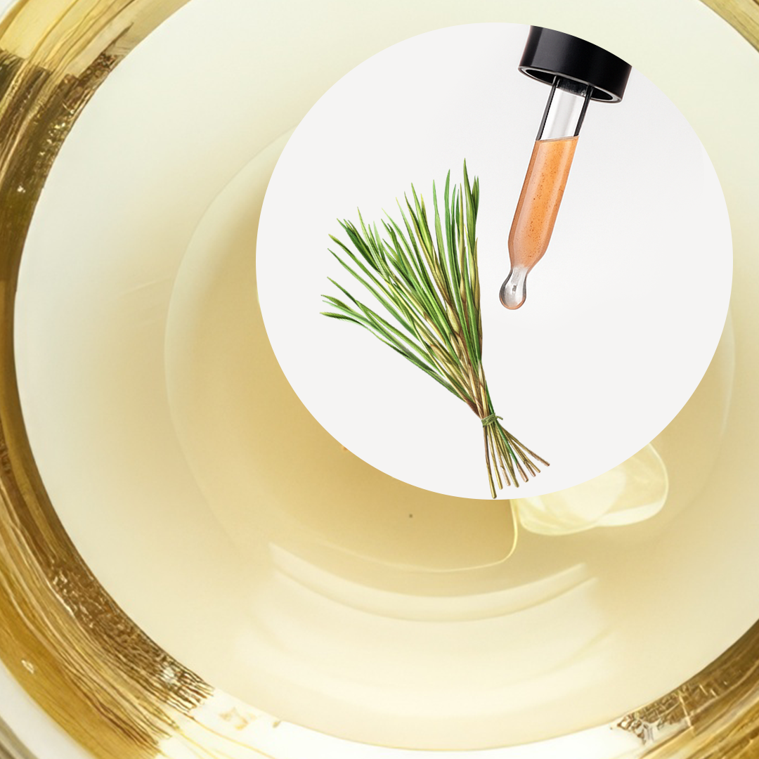 🧴 ACEITE ESENCIAL DE LEMONGRASS (CYMBOPOGON FLEXUOSUS) | FORMULACIÓN LTSH - Image 2