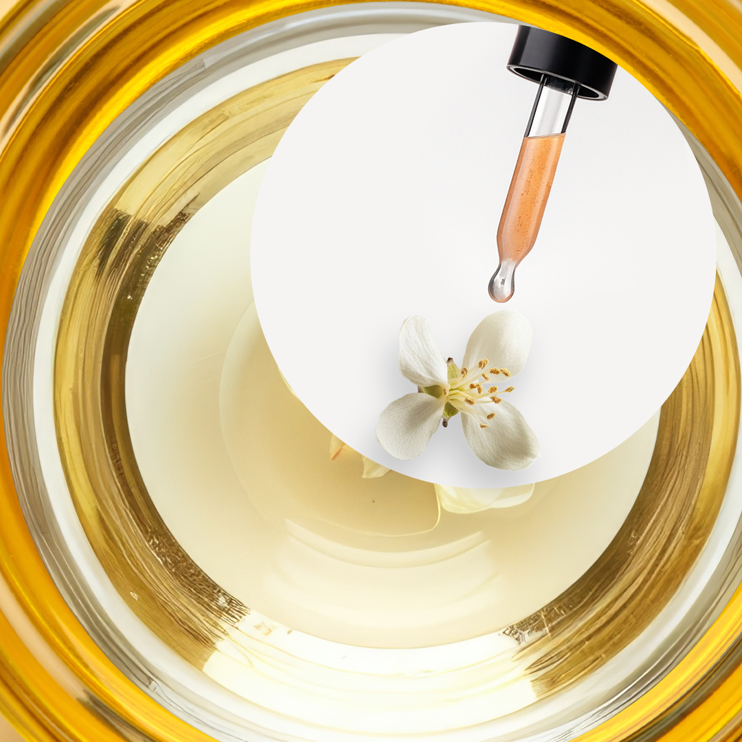 Aceite de Camelia Virgen Orgánica - Image 2