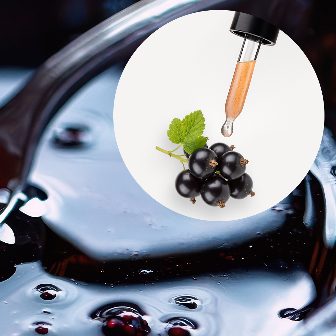 Aceite de Grosella Negra - Image 2