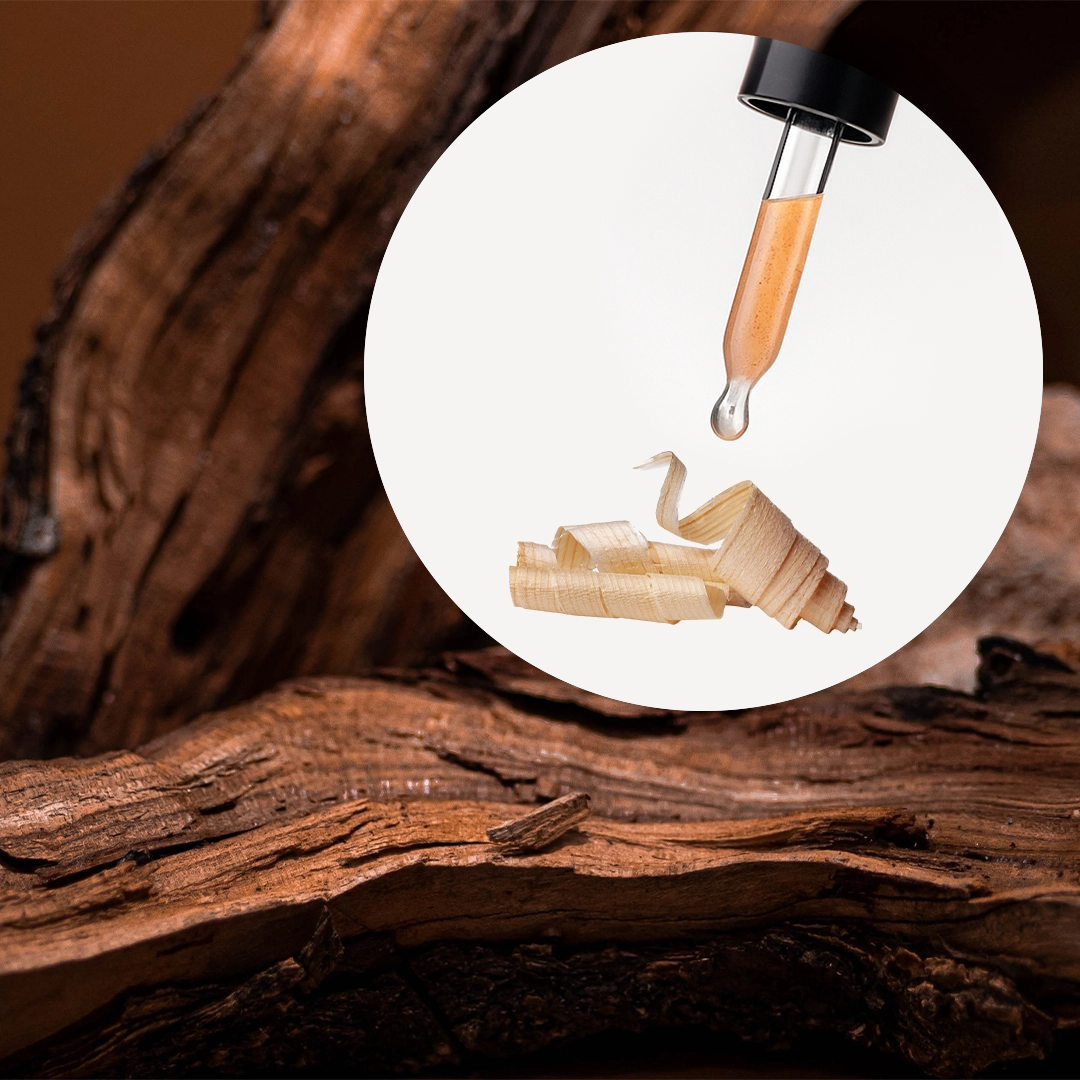 Fragancia Indonesia Wood - Image 2