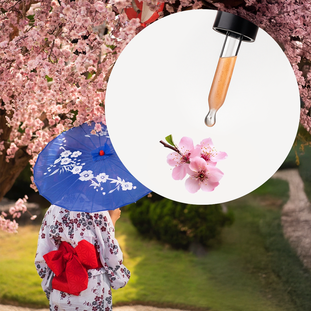 Fragancia Japanese Cherry Flower - Image 2