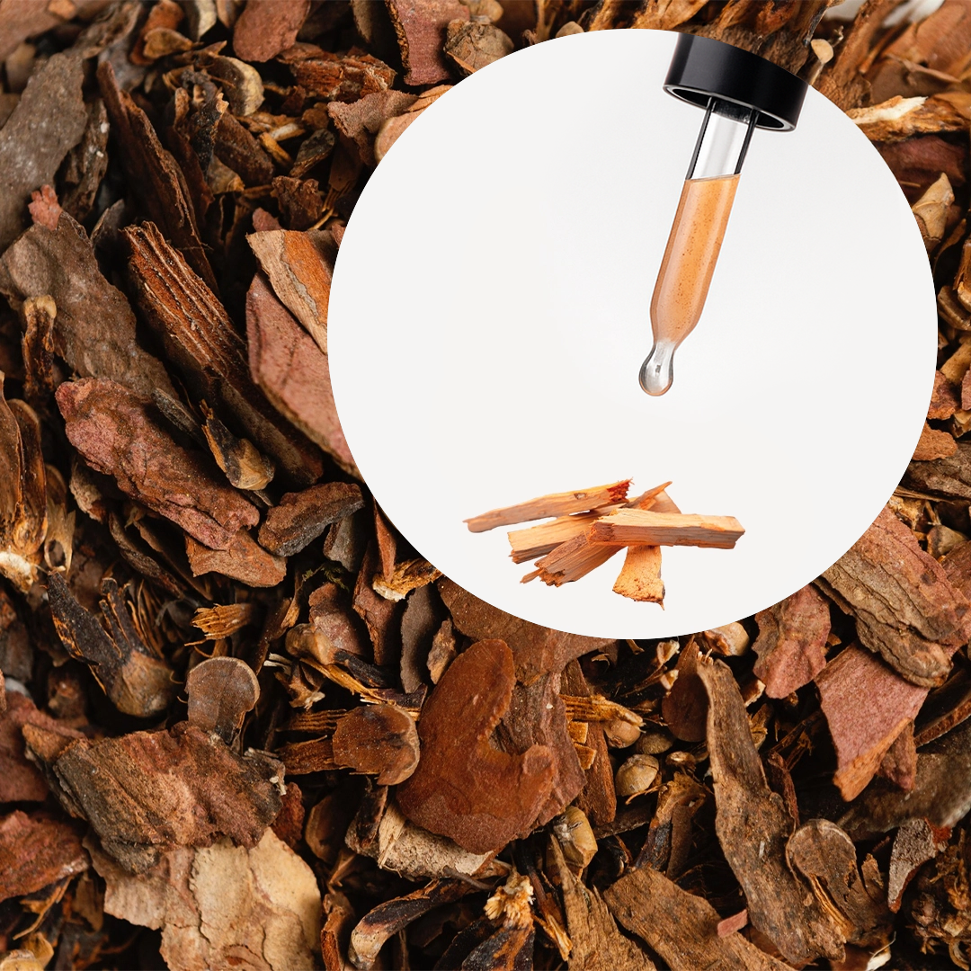 Fragancia Sandalwood AE & FS - Image 2