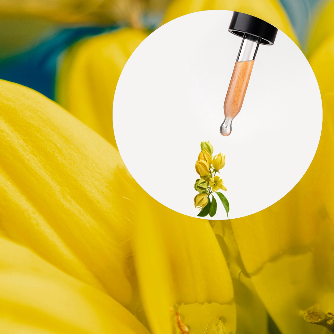 Hidrolato de Ylang Ylang - Image 2