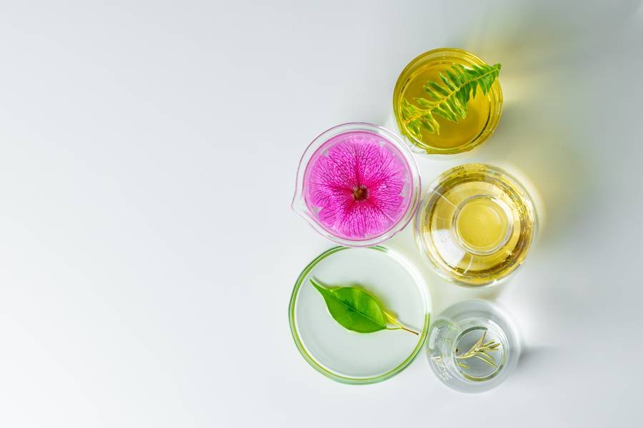 Frascos de aceites vegetales sobre superficie de mármol con flores secas